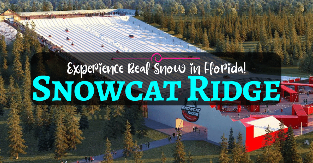 Parque de neve Snowcat Ridge na Flórida – conheça as atrações
