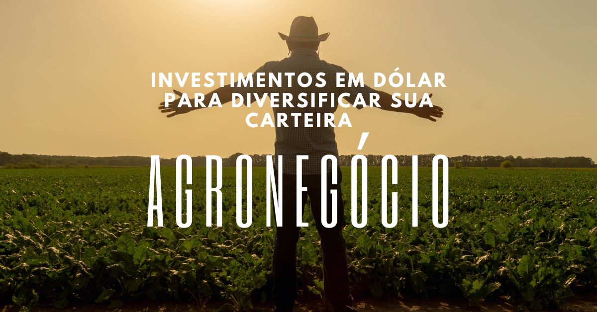 Investindo no agronegócio em dólar